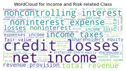 wordcloud for income and risk related class