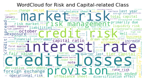 wordcloud for risk and capital related class